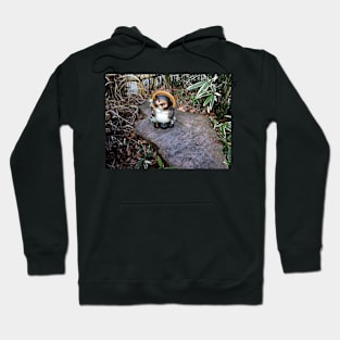 Cute Japanese Tanuki Statue Hoodie